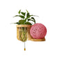 Frendorf | Minimalisme Sphere Wandlamp Sconces 1 Gloeilamp Houten LED Wandgemonteerde Verlichting in Wit/Roze/Geel, Links/Rechts