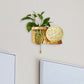Frendorf | Minimalisme Sphere Wandlamp Sconces 1 Gloeilamp Houten LED Wandgemonteerde Verlichting in Wit/Roze/Geel, Links/Rechts