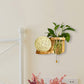 Frendorf | Minimalisme Sphere Wandlamp Sconces 1 Gloeilamp Houten LED Wandgemonteerde Verlichting in Wit/Roze/Geel, Links/Rechts