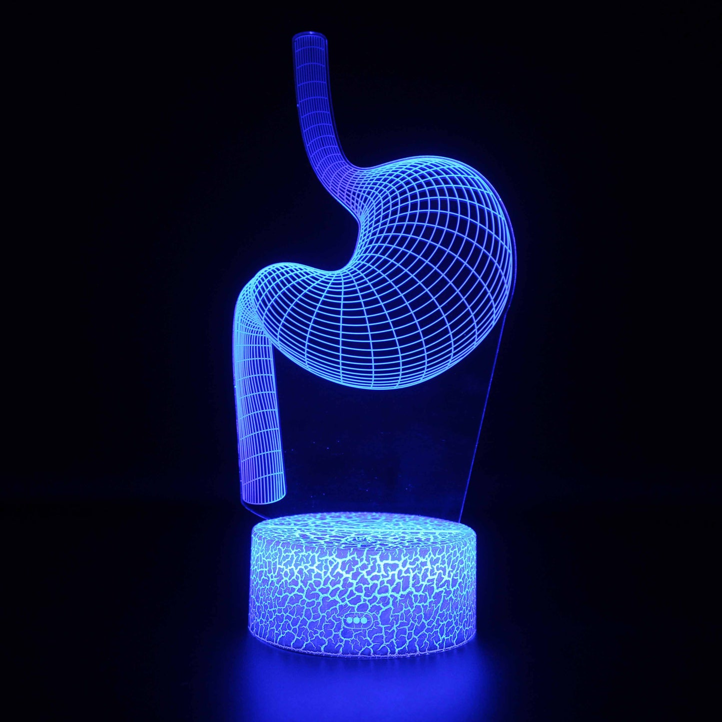 Menschlicher Magen Biologie 3D Optical Illusion Lampe