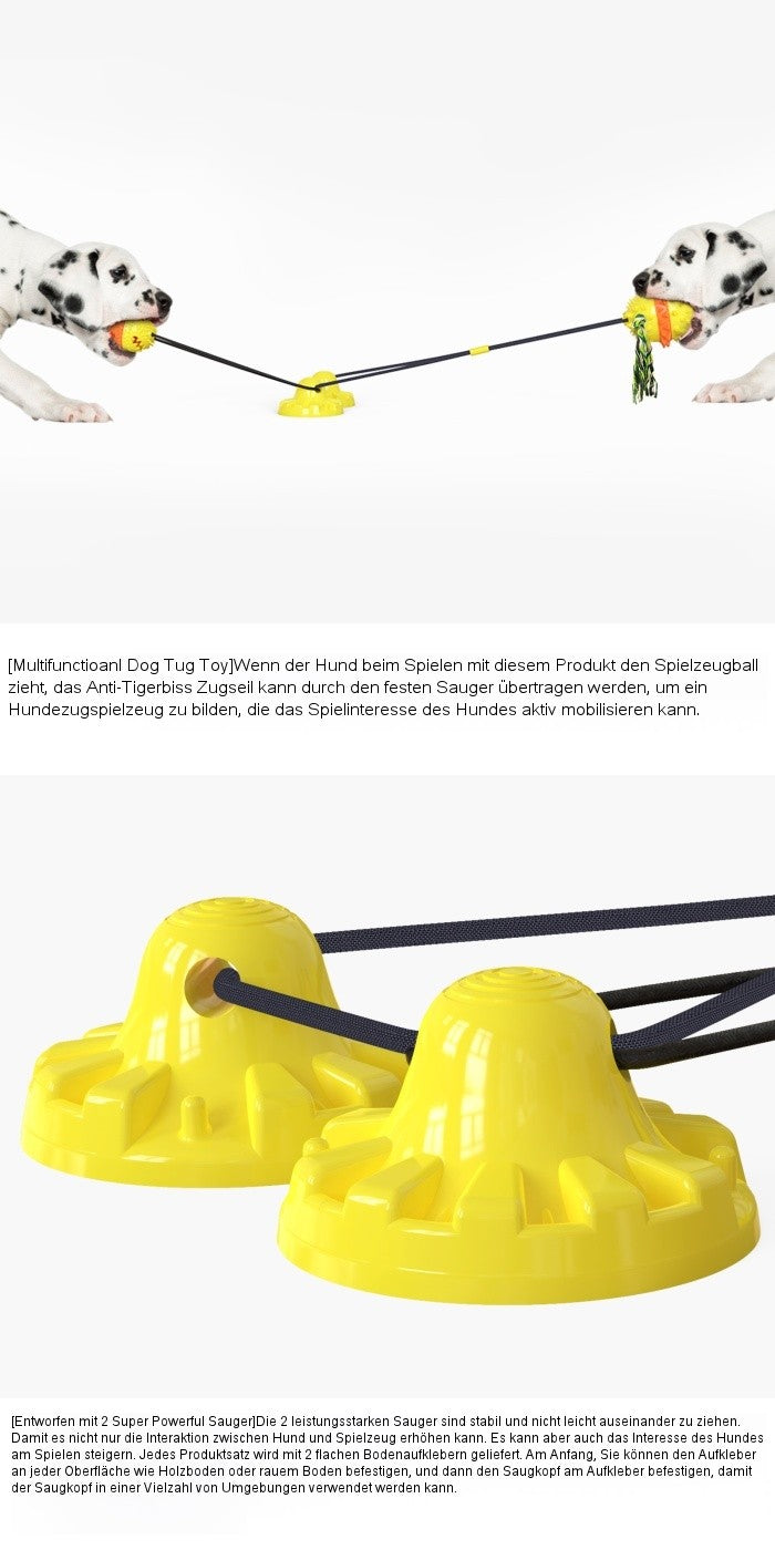 Erhöhter Saugnapf-Seil-Ball Typ D – Doppelsaug mit doppeltem Ballspielzeug