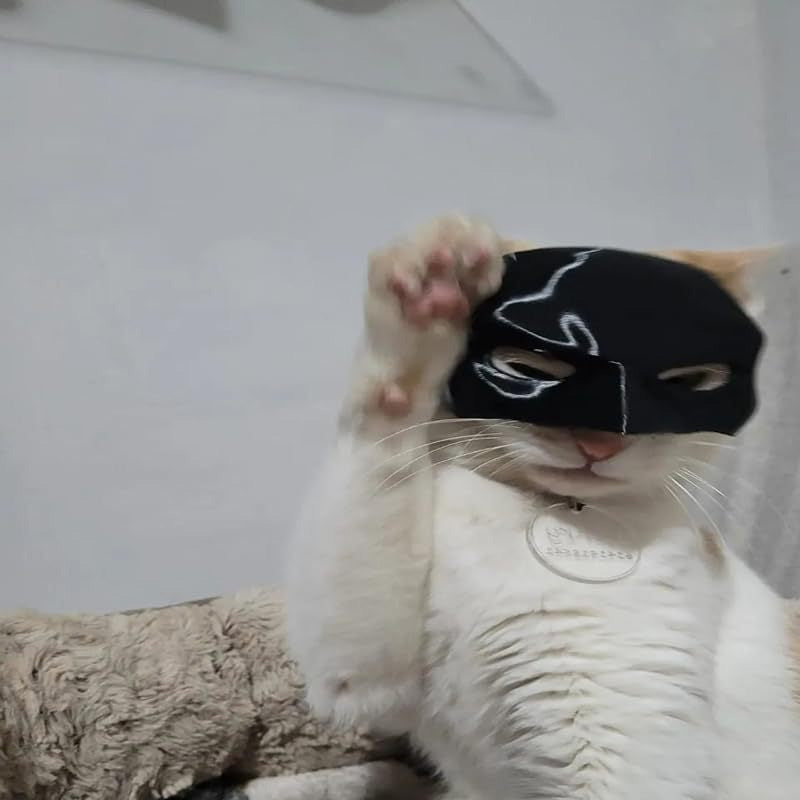 Frendorf | Bat Cat Maske