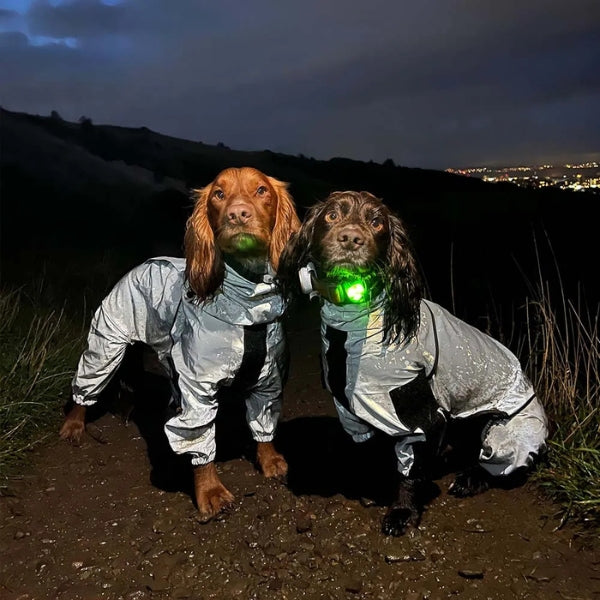 Frendorf | Hunderegenmantel mit Beinen - Wasserdichte Hundejacke für kleine und große Rassen | UK Gemütliche Winterbekleidung