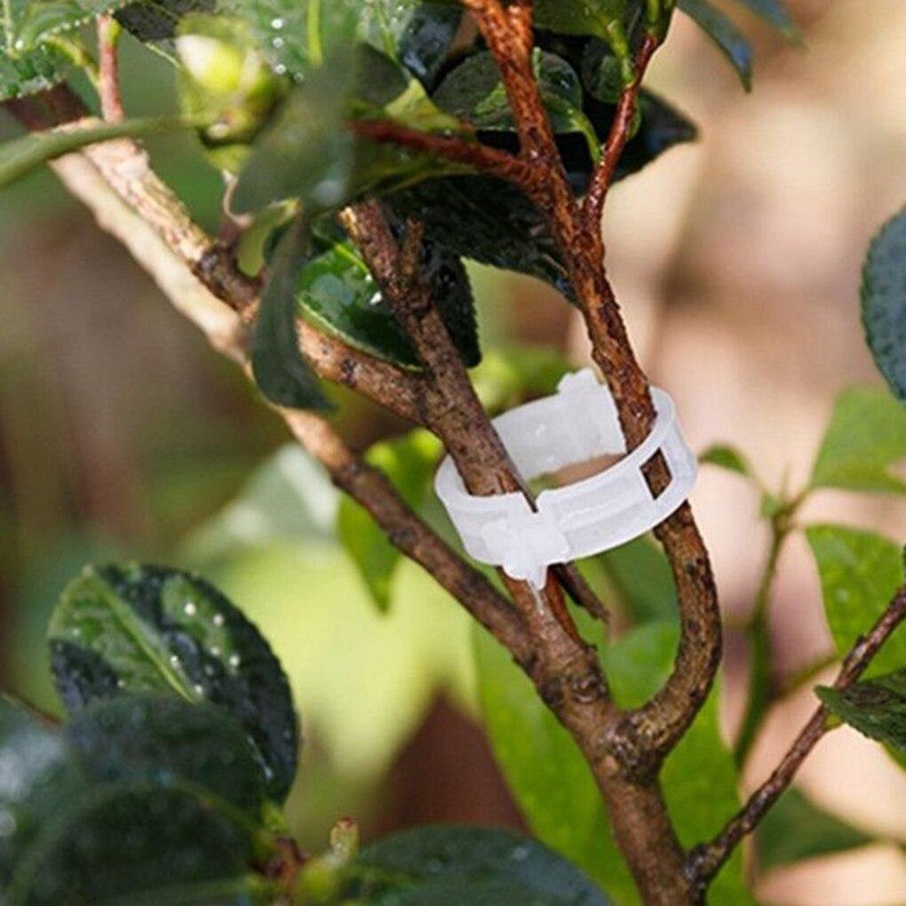 Frendorf | PlantFix Pflanzenhalter Clip Set | Stabilität für Pflanzenstiele | Einfache Befestigung | Unterstützung für gesundes Wachstum