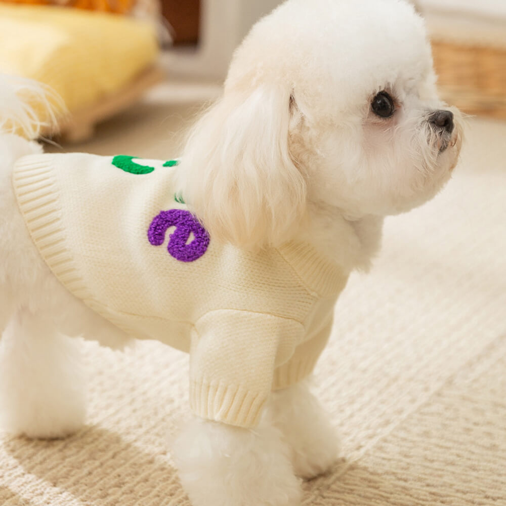 Bunter Apple Strickhundepullover