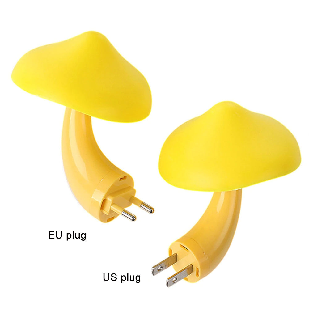 Pilz Wandsteckdosenlicht