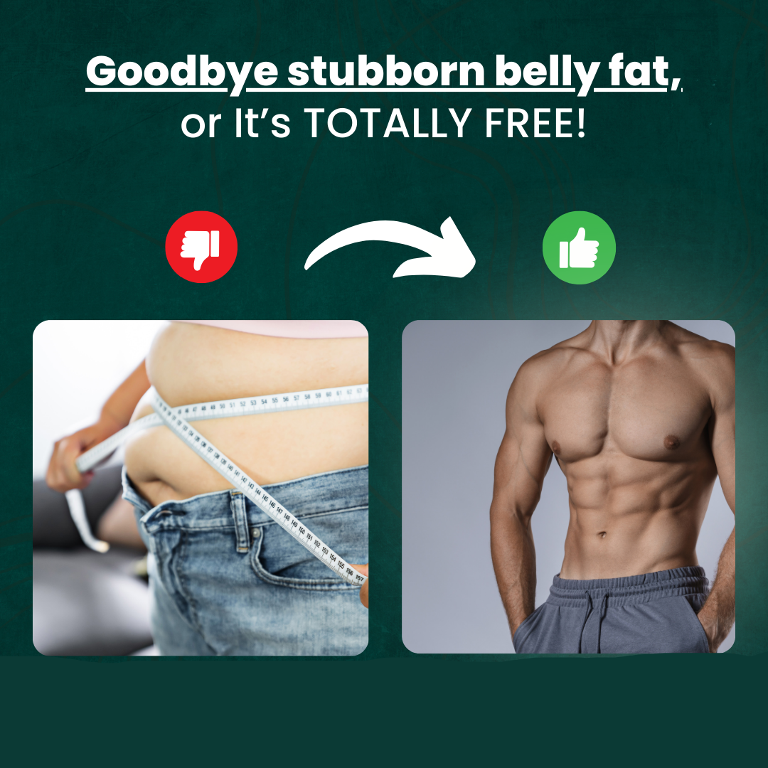 Frendorf | Bauchmuskeltrainer | Fitnessgerät für Muskeltraining | Ausrüstung für Bauchübungen