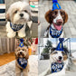 Hund Geburtstag Junge & Mädchen Partysatz - Blaue Karierte Bandana und Hut mit Zahlenstickern
