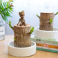 Frendorf | WoodlandNook - Mini-Terrarium für frische Luft und positive Energie