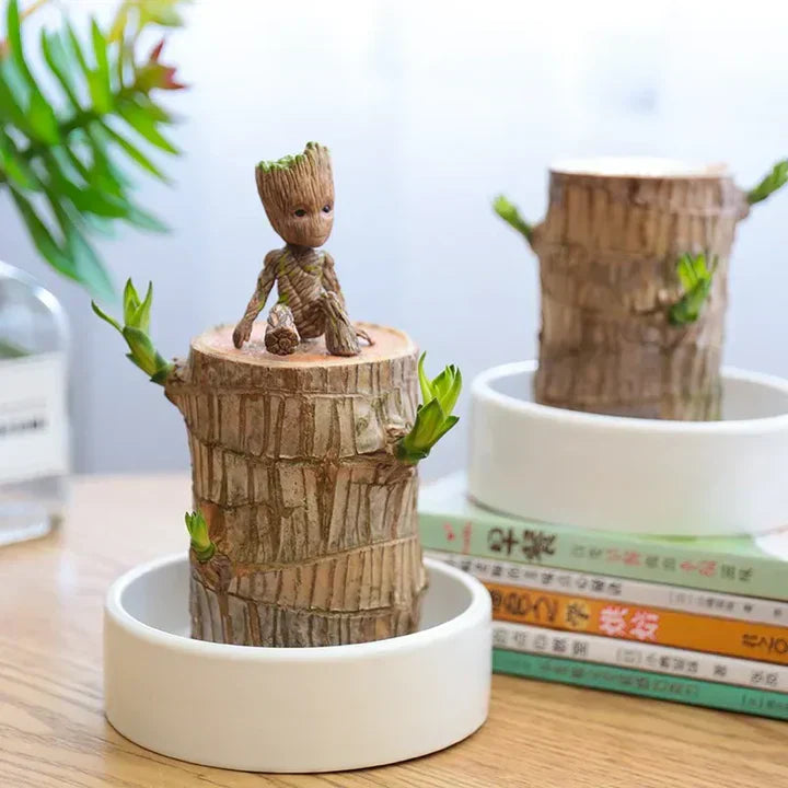 Frendorf | WoodlandNook - Mini-Terrarium für frische Luft und positive Energie
