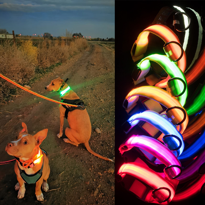 LED Hundehalsband