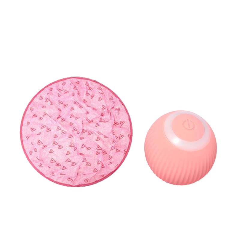 Frendorf | 2 in 1 Simuliertes Interaktives Jagdspielzeug für Katzen