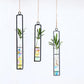 Frendorf | FloatTerrarium Hängendes Glas-Terrarium | Eisenhalterung | Modernes Design | Perfekt für Pflanzenvermehrung & Dekoration