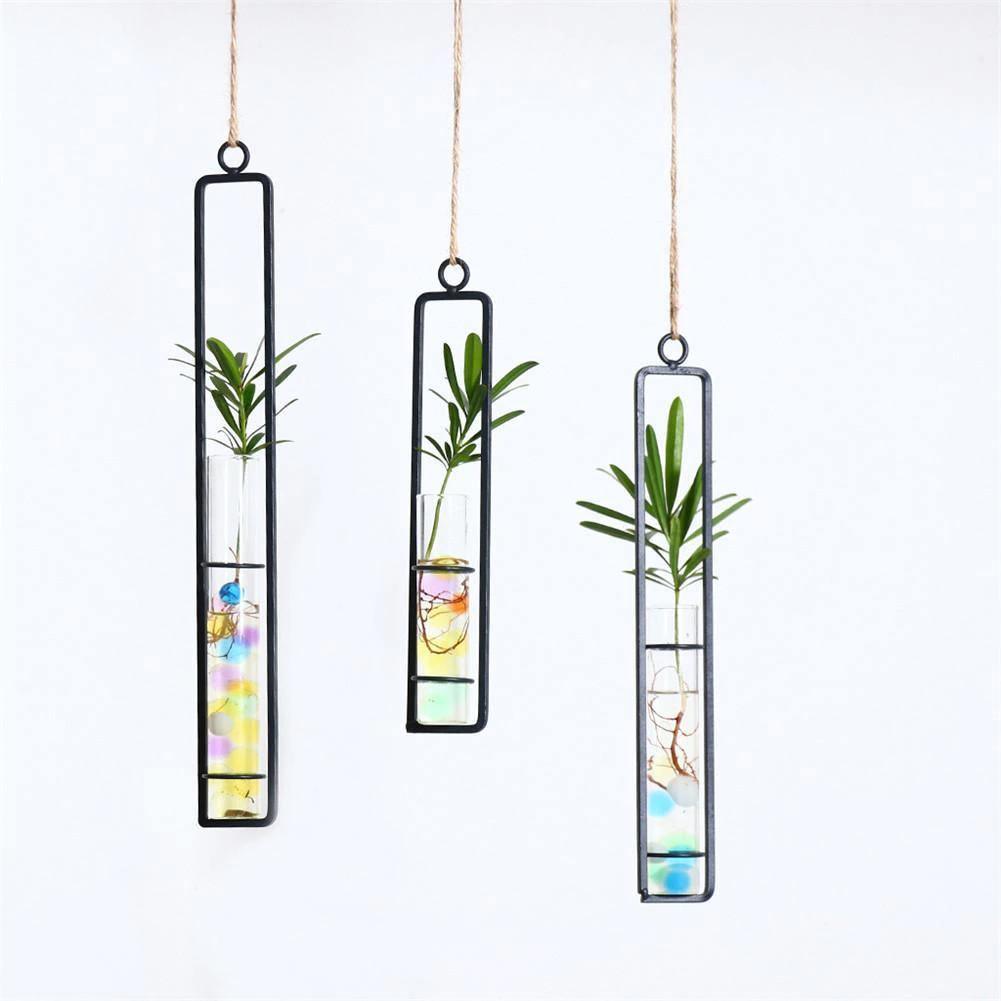 Frendorf | FloatTerrarium Hängendes Glas-Terrarium | Eisenhalterung | Modernes Design | Perfekt für Pflanzenvermehrung & Dekoration