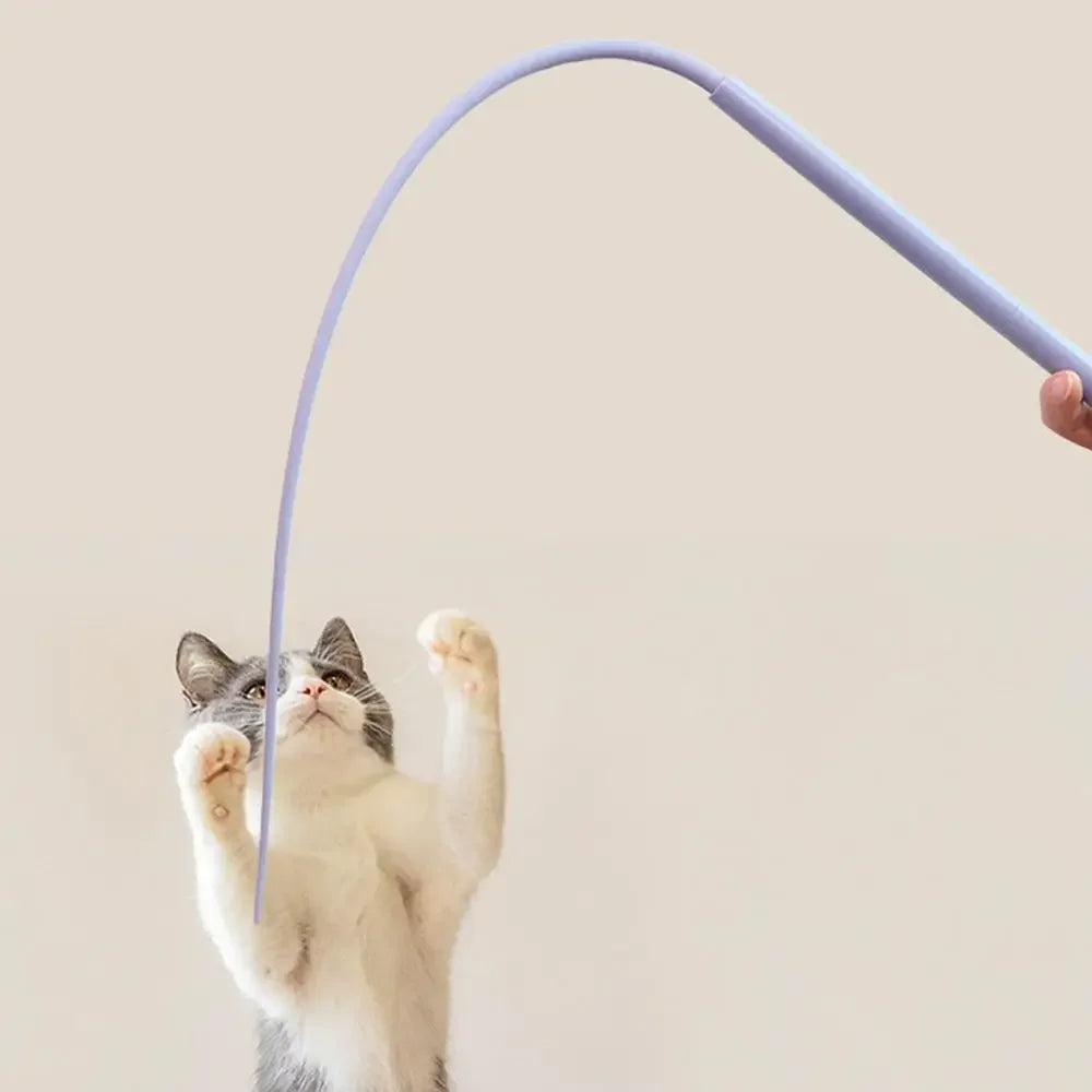 Frendorf | Bindung durch Spiel