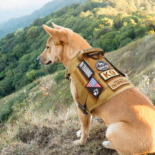 Frendorf | Taktisches Gilet für Hunde – Anti-Zug Geschirr mit Verstellbaren Paneelen