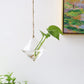 Frendorf | GlasLuxe 3-teiliges Set Glas-Hänge-Terrarienvasen | Elegante Pflanzenhalter | Deko für Zuhause
