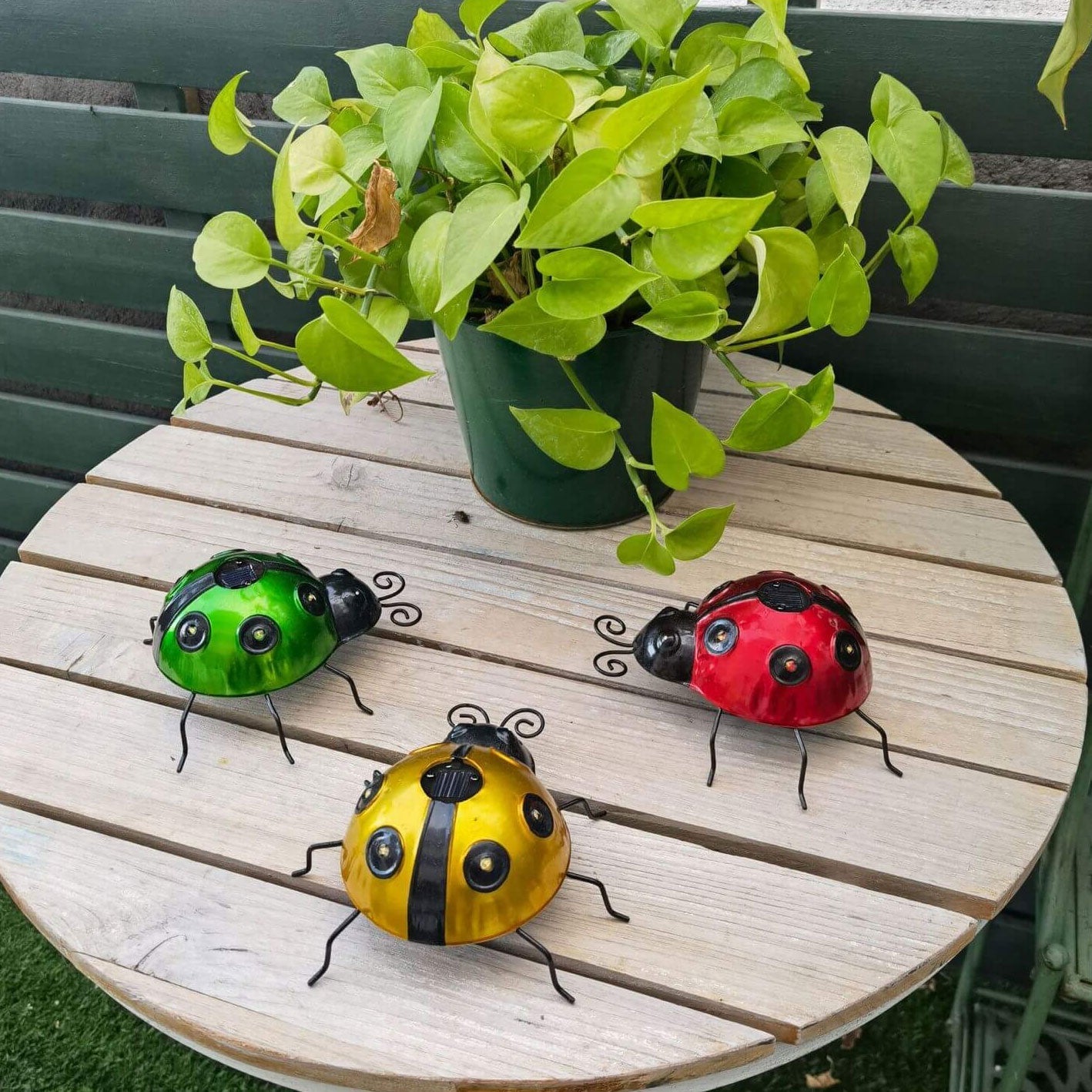 Frendorf | SolarBug LED Gartenleuchte | Marienkäfer Design | Solarbetrieben | Dekorative Rasenbeleuchtung