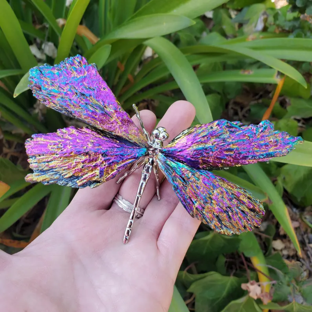 Frendorf | Aurora Libelle Charm