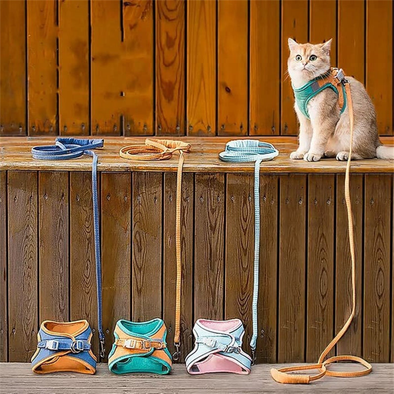 Frendorf | Katzenweste Geschirr und Leinen Set