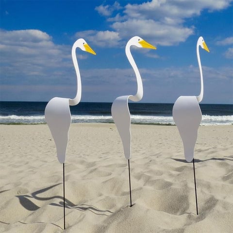 Frendorf | Wirbelnder Flamingo im Garten