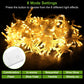 Frendorf | 3M 300 LEDs Lichtervorhang mit Fernbedienung