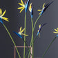 Frendorf | 3 Stück Paradiesvogel Blumen