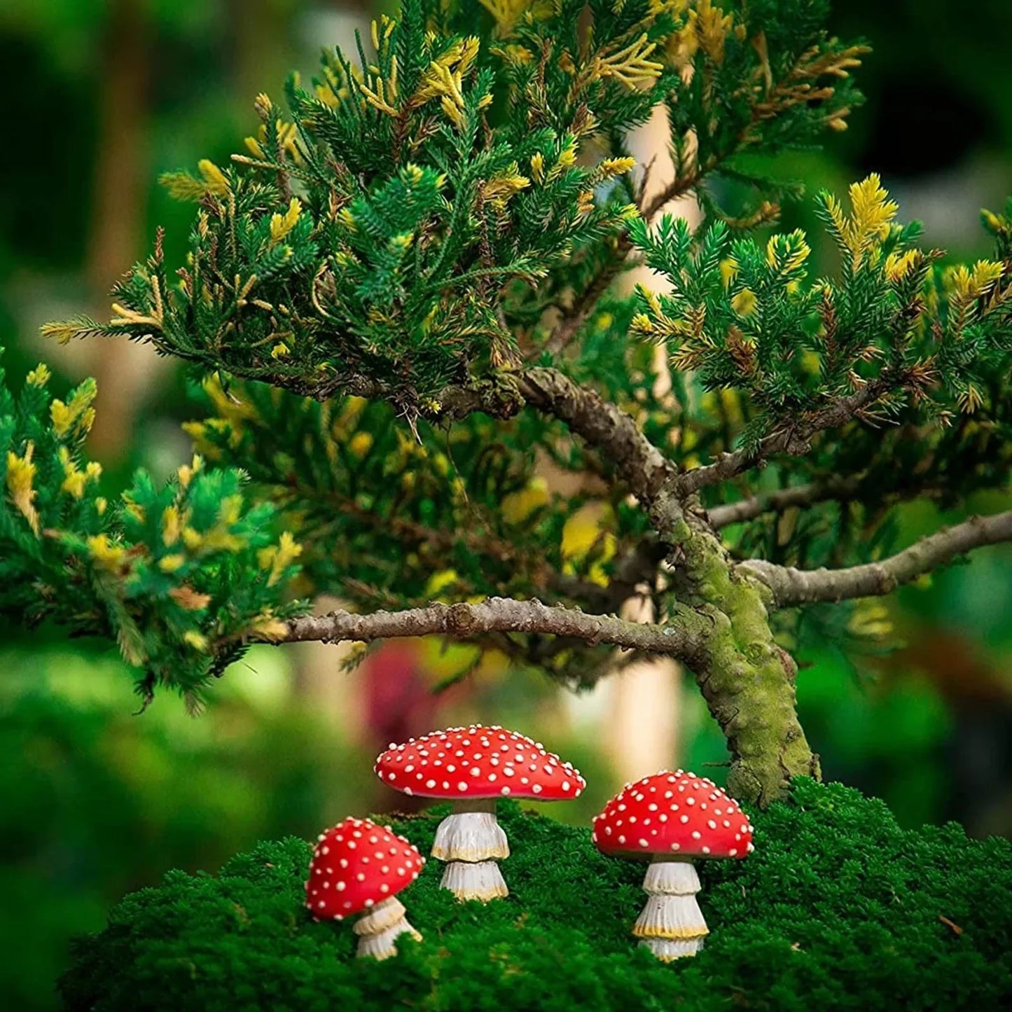 Frendorf | 3pcs Feen Mini Pilz Solarlampen