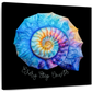 Frendorf | Die Nautilus Spiral Journey ist eine Erinnerung Wandkunst