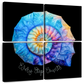Frendorf | Die Nautilus Spiral Journey ist eine Erinnerung Wandkunst