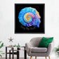 Frendorf | Die Nautilus Spiral Journey ist eine Erinnerung Wandkunst