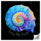 Frendorf | Die Nautilus Spiral Journey ist eine Erinnerung Wandkunst