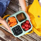 Frendorf | 4-Pack: Snackbehälter mit 4 Fächern, unterteilte Bento-Lunchbox mit transparenten Deckeln