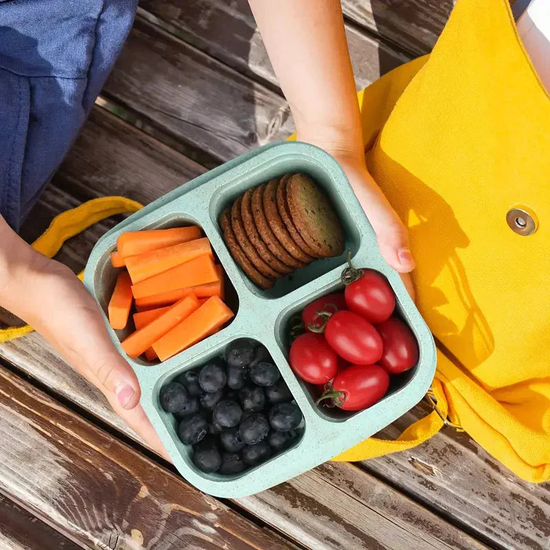 Frendorf | 4-Pack: Snackbehälter mit 4 Fächern, unterteilte Bento-Lunchbox mit transparenten Deckeln