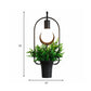 Frendorf | Potted Plant Restaurant Wandlamp Industriële Metaal 1 Bulg Zwart LED Wandverlichting