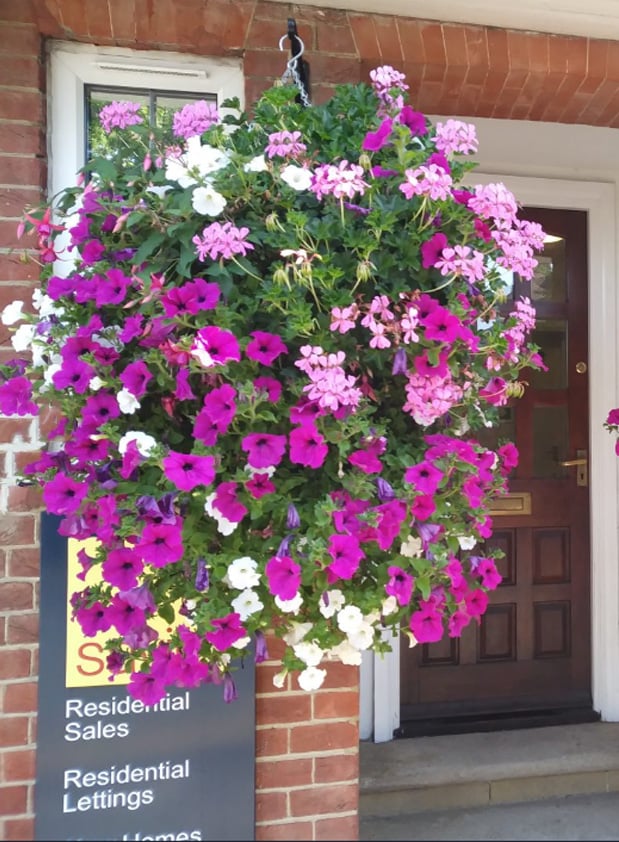 Frendorf |  Bloomy - Unvergängliche florale Schönheit