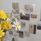 Französisches Kunstcollage-Set