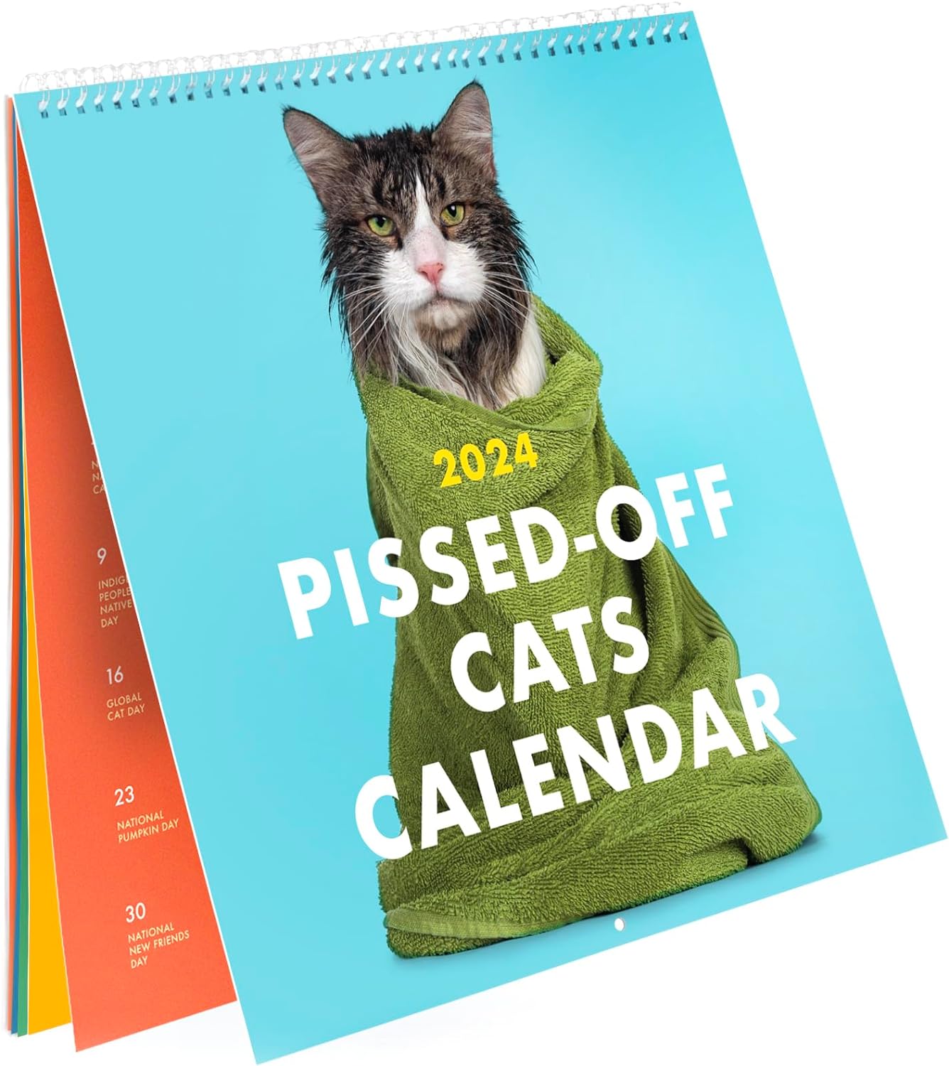 Frendorf | 2025 Verärgerte Katzen Kalender