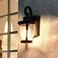 Frendorf | Gooseneck Buitenwandlamp Fixture Industrieel Bubbelglas 1 Licht Zwarte Wandlamp met Gebogen Arm