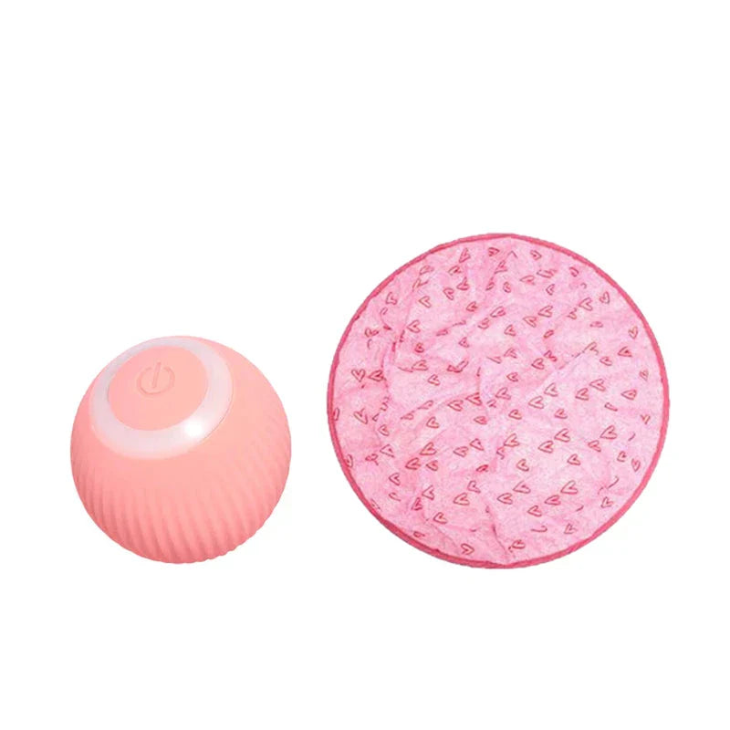 Frendorf | 2 in 1 Simuliertes Interaktives Jagdspielzeug für Katzen