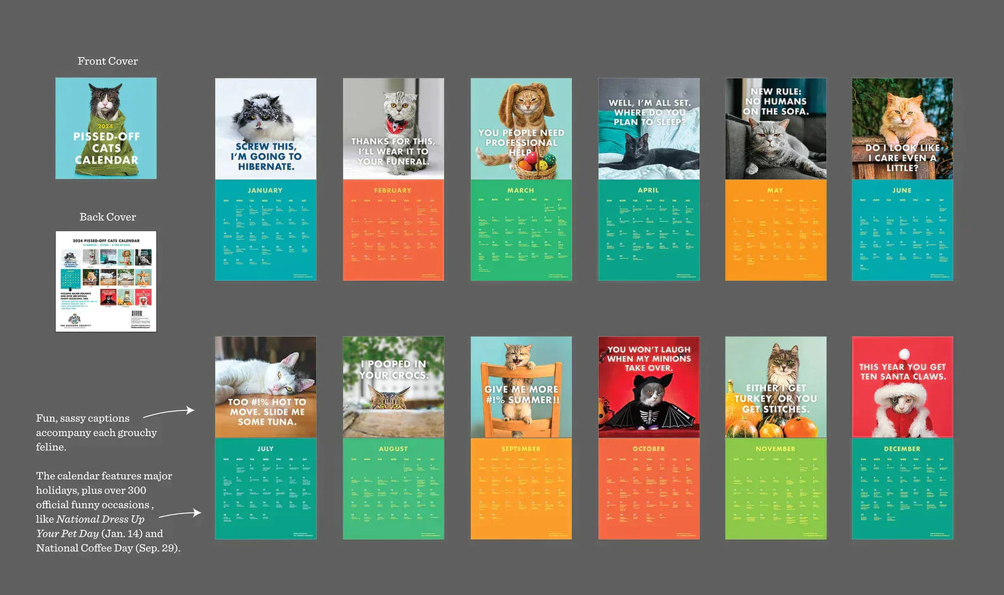 Frendorf | 2025 Verärgerte Katzen Kalender