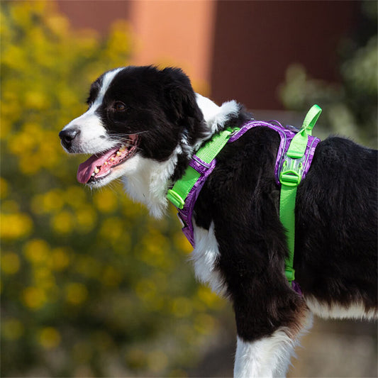 Camouflage explosionsicher reflektierendes Hundegeschirr mit Navigationslicht
