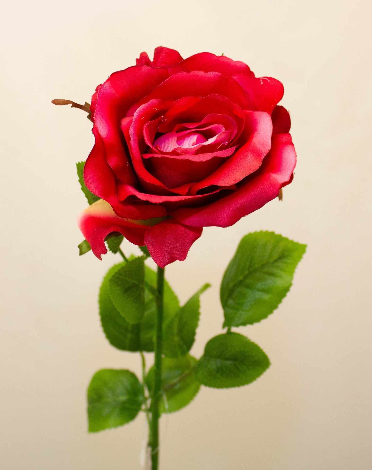 Frendorf | Elegance Rose Stem Schönheit 68 cm - Realistische künstliche Rose mit lebensechten Blütenblättern - Perfekt für Blumenarrangements, Sträuße, Kränze und Wohnkultur - Langlebig und pflegeleicht