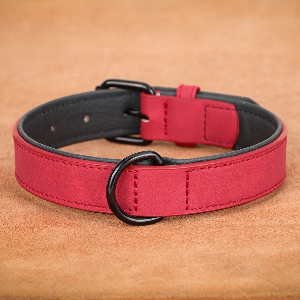 Frendorf | StrongPaw Halsband für große Hunde | Robust | Verstellbar | Komfortabel | Hochwertige Materialien