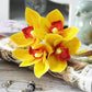 Frendorf | 4 Stück Orchideen-Bund