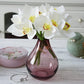 Frendorf | 4 Stück Orchideen-Bund