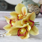 Frendorf | 4 Stück Orchideen-Bund