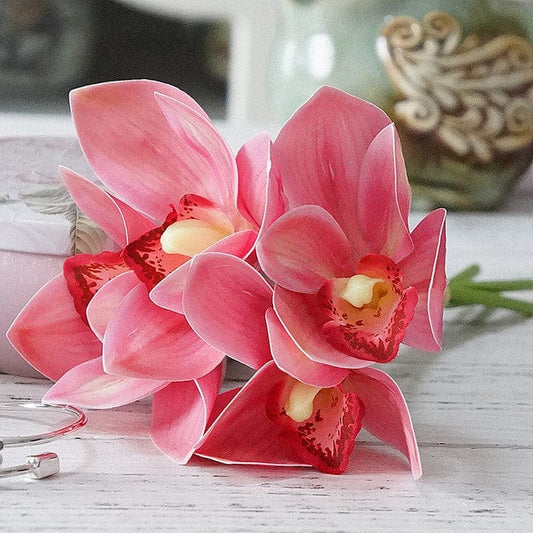 Frendorf | 4 Stück Orchideen-Bund