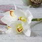 Frendorf | 4 Stück Orchideen-Bund