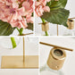 Frendorf | BloomBulb Pflanzenvermehrungs Vase | Zeitloses Design | Deko für Zuhause & Büro | Einzel & Doppel